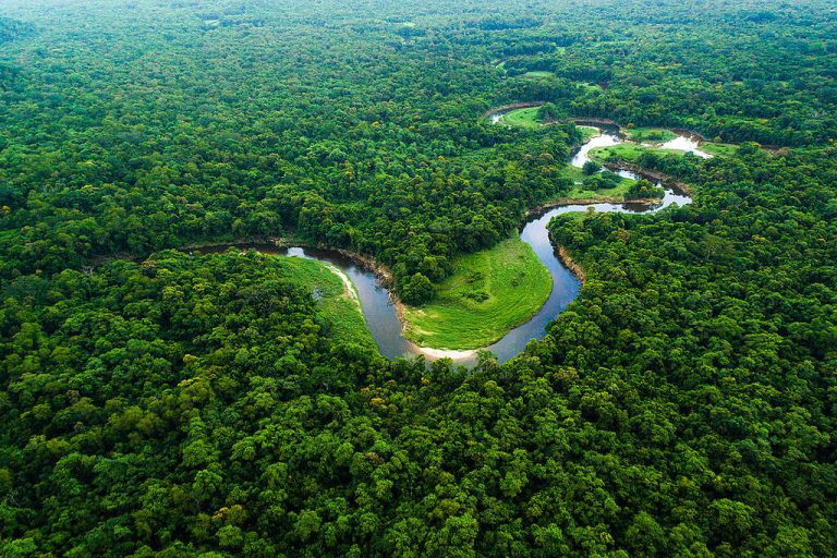 O paraíso onde o rio e a floresta se encontram e escrevem um espetáculo natural imperdível