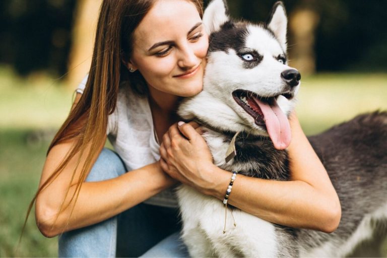 6 bebidas proibidas para cachorros