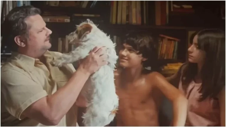 Cachorrinho do filme ‘Ainda Estou Aqui’ é premiado no “Oscar dos Cães”