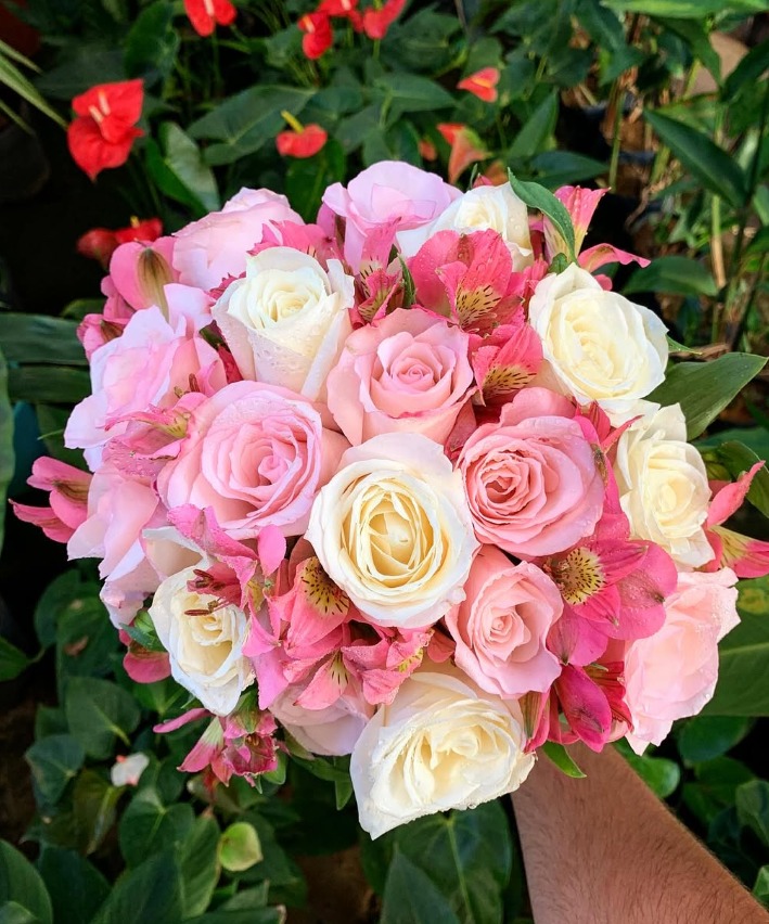 floricultura
