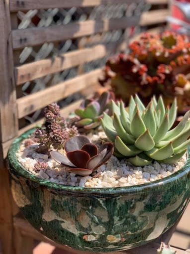 floricultura