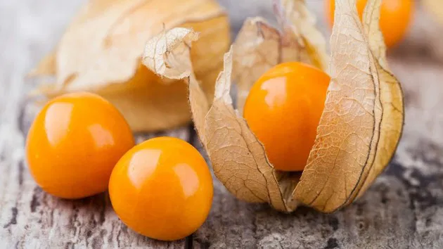 fruta exótica Physalis