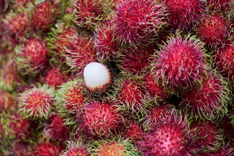 Fruta exótica tem polpa doce, carnuda, suculenta, previne o inchaço, a anemia e faz bem para o estômago