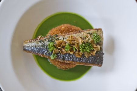 Peixe Truta proteína e ácidos graxos ômega-3