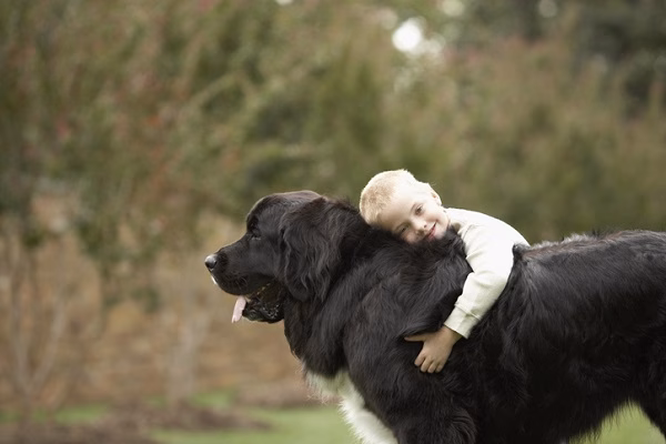 Os 10 cachorros preferidos das crianças