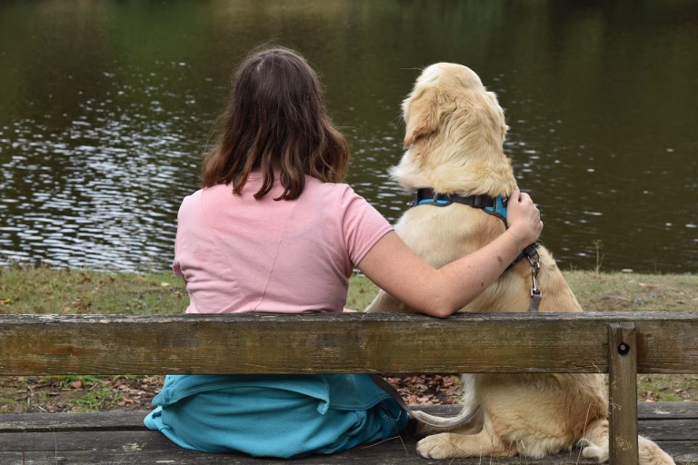 10 curiosidades sobre o Golden Retriever que vão te surpreender