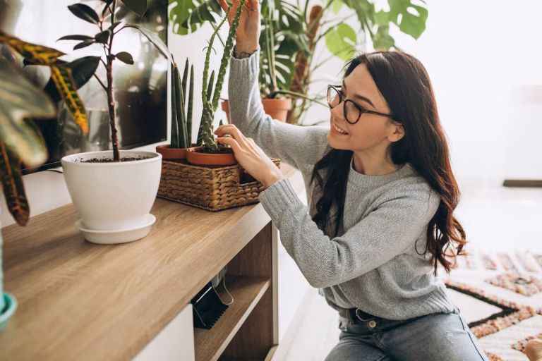 5 plantas medicinais para você cultivar em casa