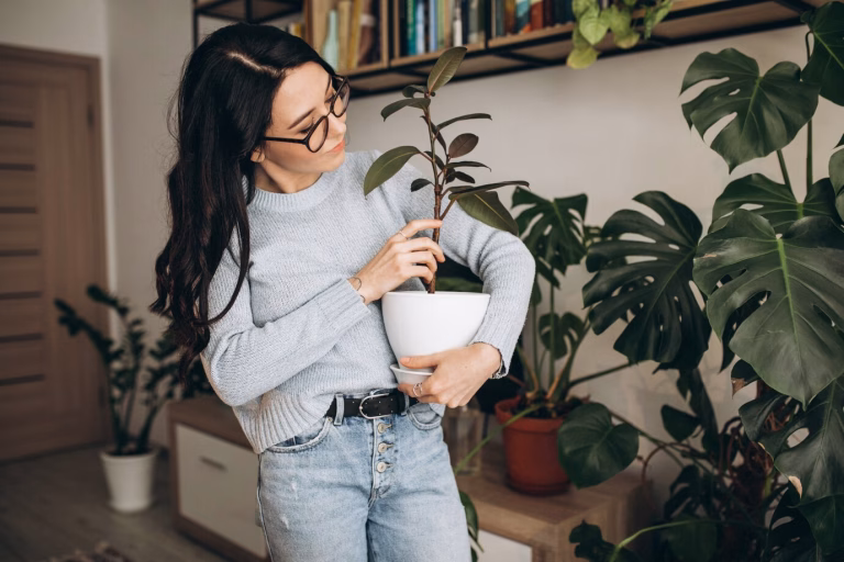 10 plantas que não precisam de sol direto