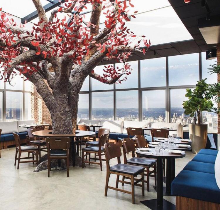 10 restaurantes que servem menu executivo no Setor Marista