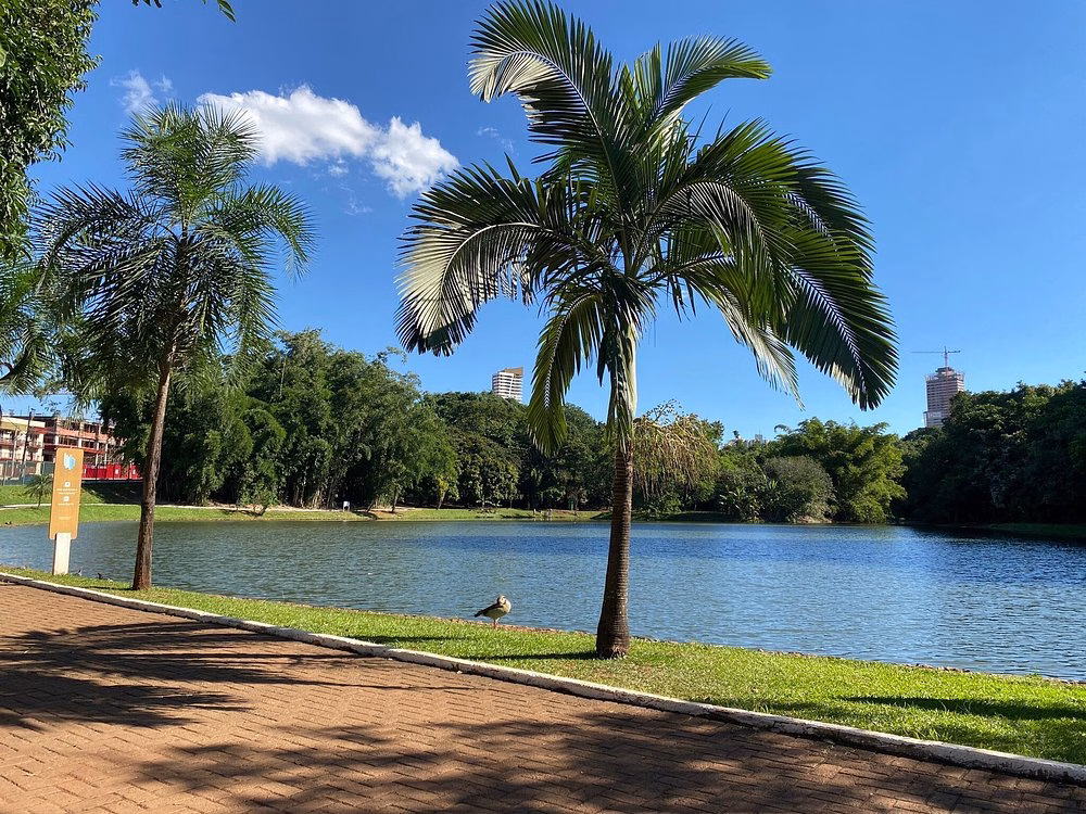 Lugares em Goiânia para as crianças se divertirem de patins