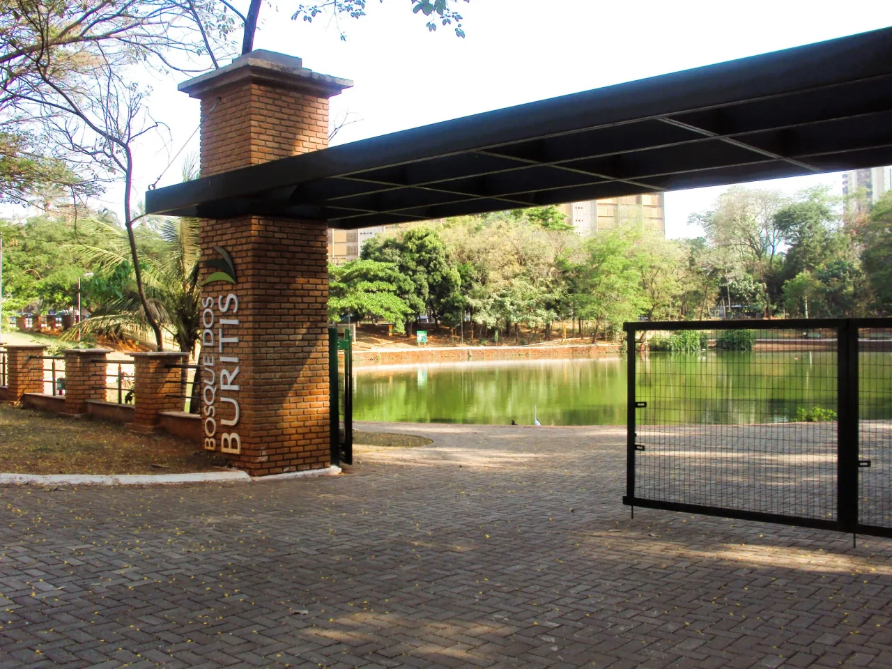 Bosque dos Buritis
