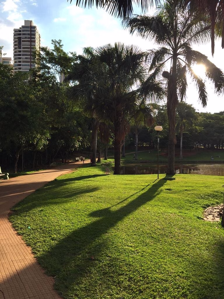 Lugares em Goiânia para as crianças se divertirem de patins