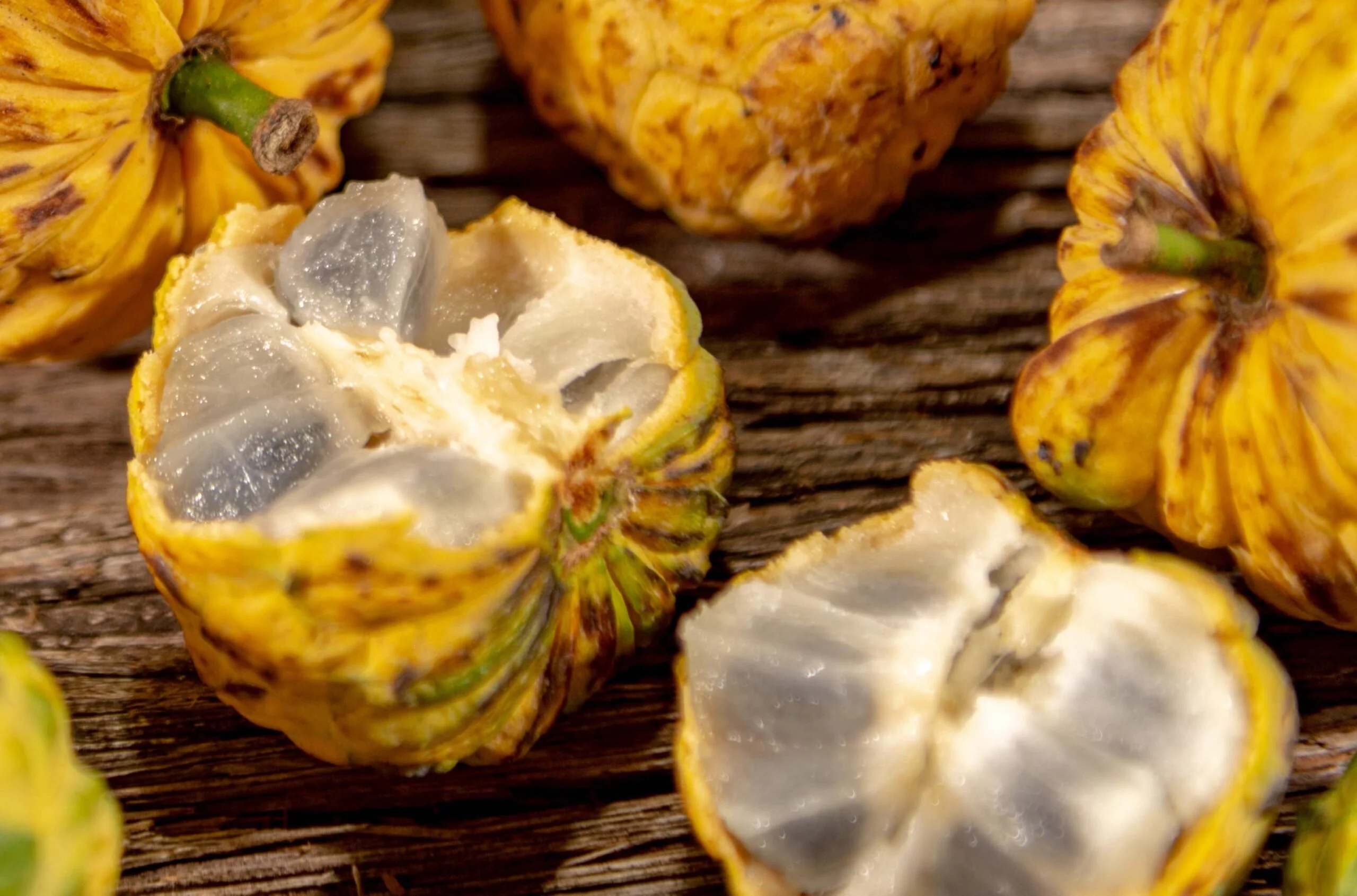  5 frutas do Cerrado que merecem um espaço no seu prato