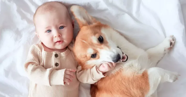 Convivência com cães protege crianças contra doença respiratória
