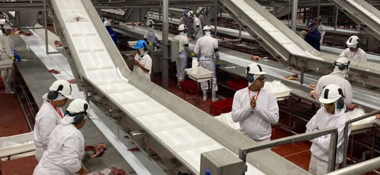 Indústria de carnes investe mais de R$100 milhões em cidade do interior de Goiás