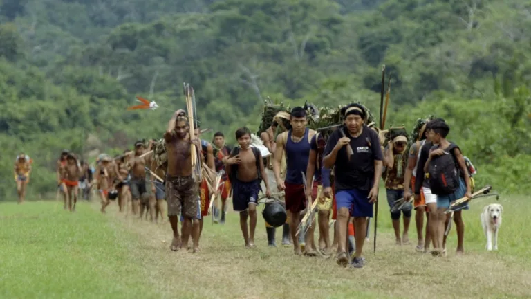 Documentário brasileiro mais premiado do ano chega aos cinemas