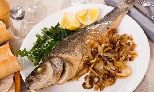 peixe brasileiro
