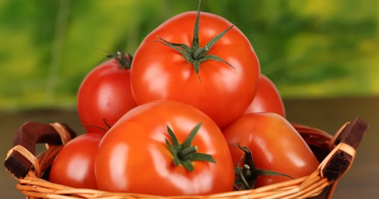 Saiba quais são os 7 benefícios de comer tomate todo dia