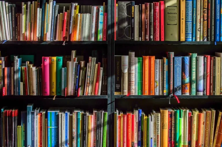Os 20 livros mais vendidos do Brasil em 2025