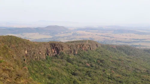 Jaraguá
