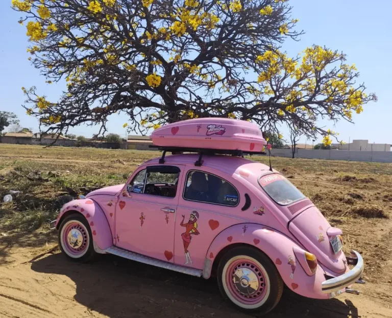 Exposição com 800 carros antigos chega a Goiânia neste fim de semana