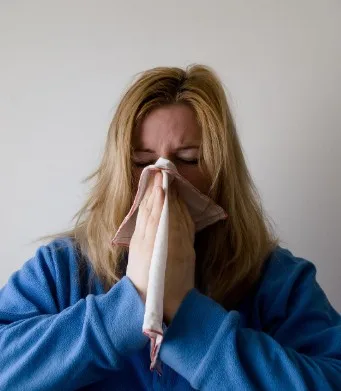 Raças de cães e gatos hipoalergênicas: como conviver com pets sem alergia