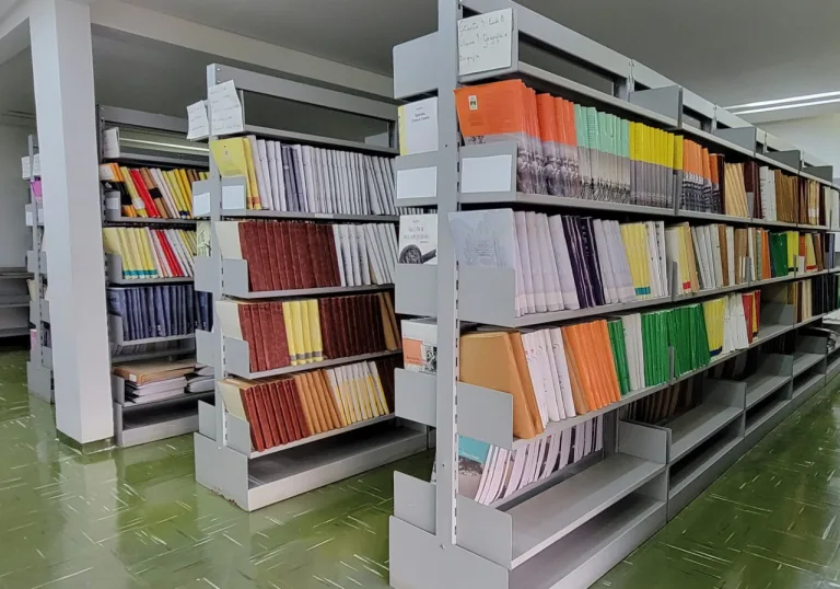 Dia Mundial do Braille: conheça biblioteca para pessoas com deficiência visual em Goiânia