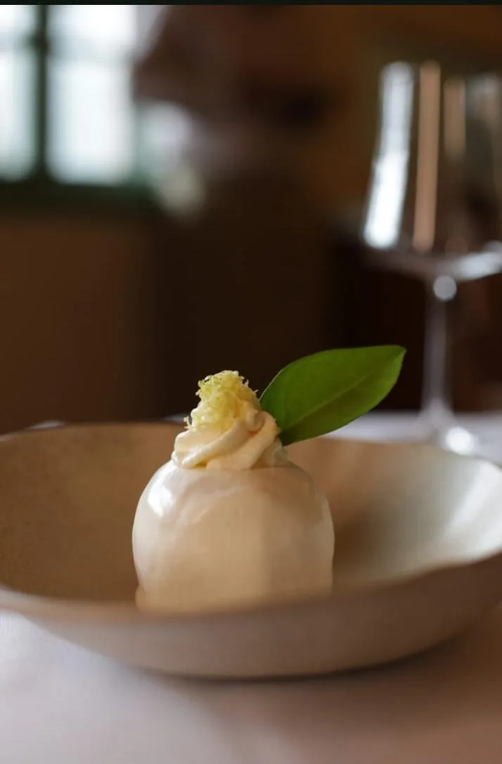 Cucina Mia: conheça o menu do Festival Gastronômico Curta Mais 2026 Goiânia à Mesa