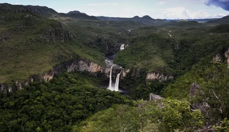 UFG passa a integrar programa da Unesco com foco no Cerrado e saberes tradicionais em Goiás