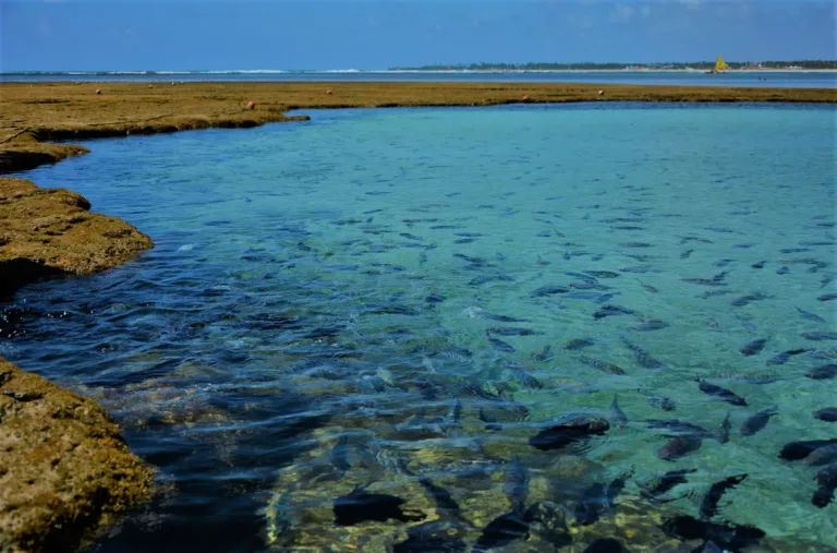 Conheça 9 piscinas naturais paradisíacas que existem no Brasil