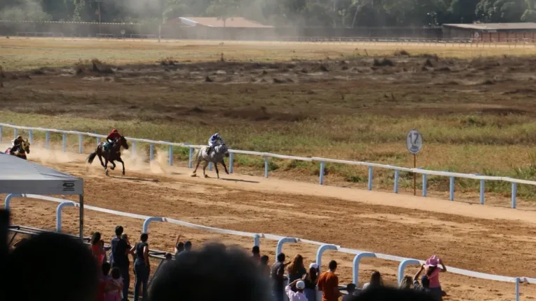 Corridas de cavalos voltam a Goiânia com entrada franca e apostas a partir de R$ 5