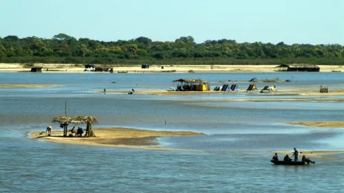 pesca