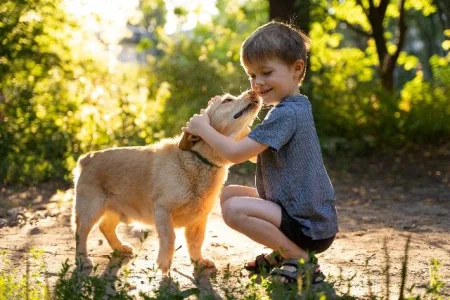 como adaptar cachorro e crianca