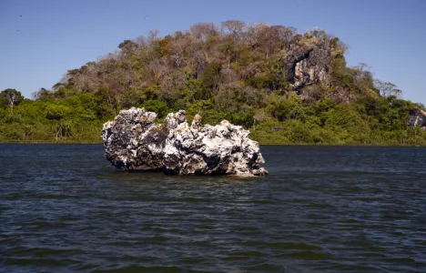 Tocantins