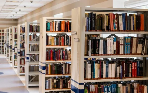 bibliotecas em goiania capa e1585660993663