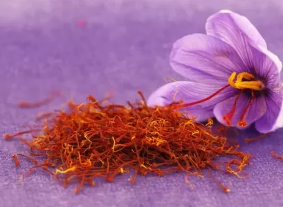 especiaria capa