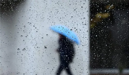 frio