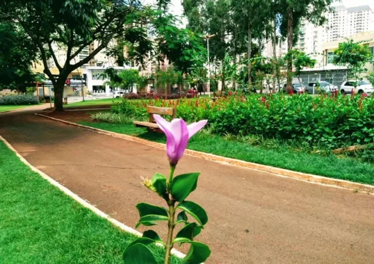 Praça no Setor Nova Suiça, em Goiânia, tem parque e feira das mães