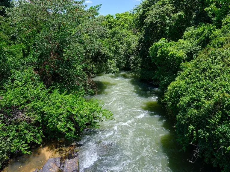 Cidade goiana escondida no Araguaia surpreende turistas com águas cristalinas