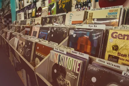 vinil