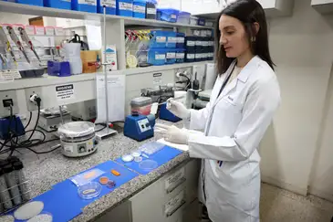 Carne feita em laboratório pode chegar ao prato dos brasileiros nos próximos anos