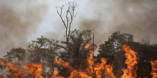 Goiás