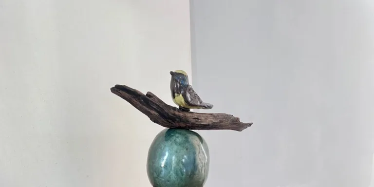 Goiânia recebe exposição inspirada na arte brasileira e na produção goiana