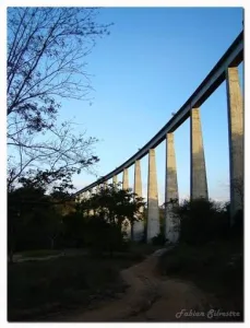 ponte