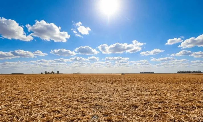 Super El Niño: veja como o fenômeno climático pode afetar Goiás