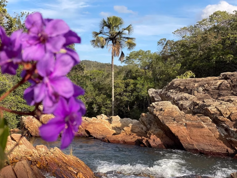 Cachoeira do Coqueiro: confira o desconto exclusivo para o Festival Curta Mais Por Menos Pirenópolis