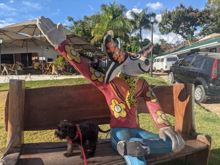 Banco do Mascarado de Pirenópolis foi inspirado em um palhaço americano famoso