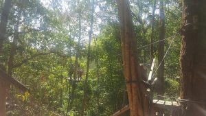 passeio ecológico