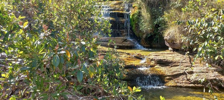 A cachoeira escondida em Goiás que parece mais um paraíso secreto fora do mapa e vai virar seu refúgio favorito