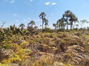 lugar em Goiás